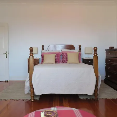 In The Center Of With Private Pool Villa Funchal (Madeira)